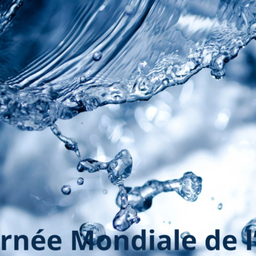 Journée Mondiale de l’eau